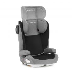 Автокресло Sesttino Race gray 15-36 кг